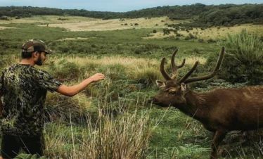 Horton Plains National Park