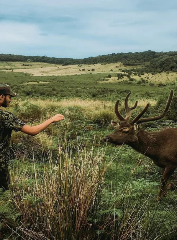 Horton Plains National Park