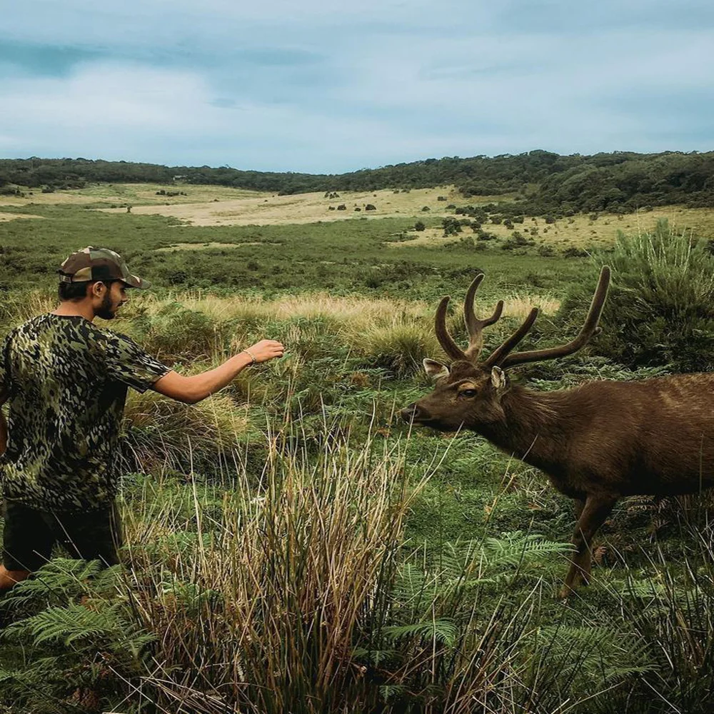Horton Plains National Park 