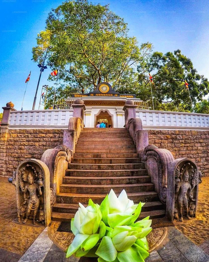 Jaya-Sri-Maha-Bodhiya