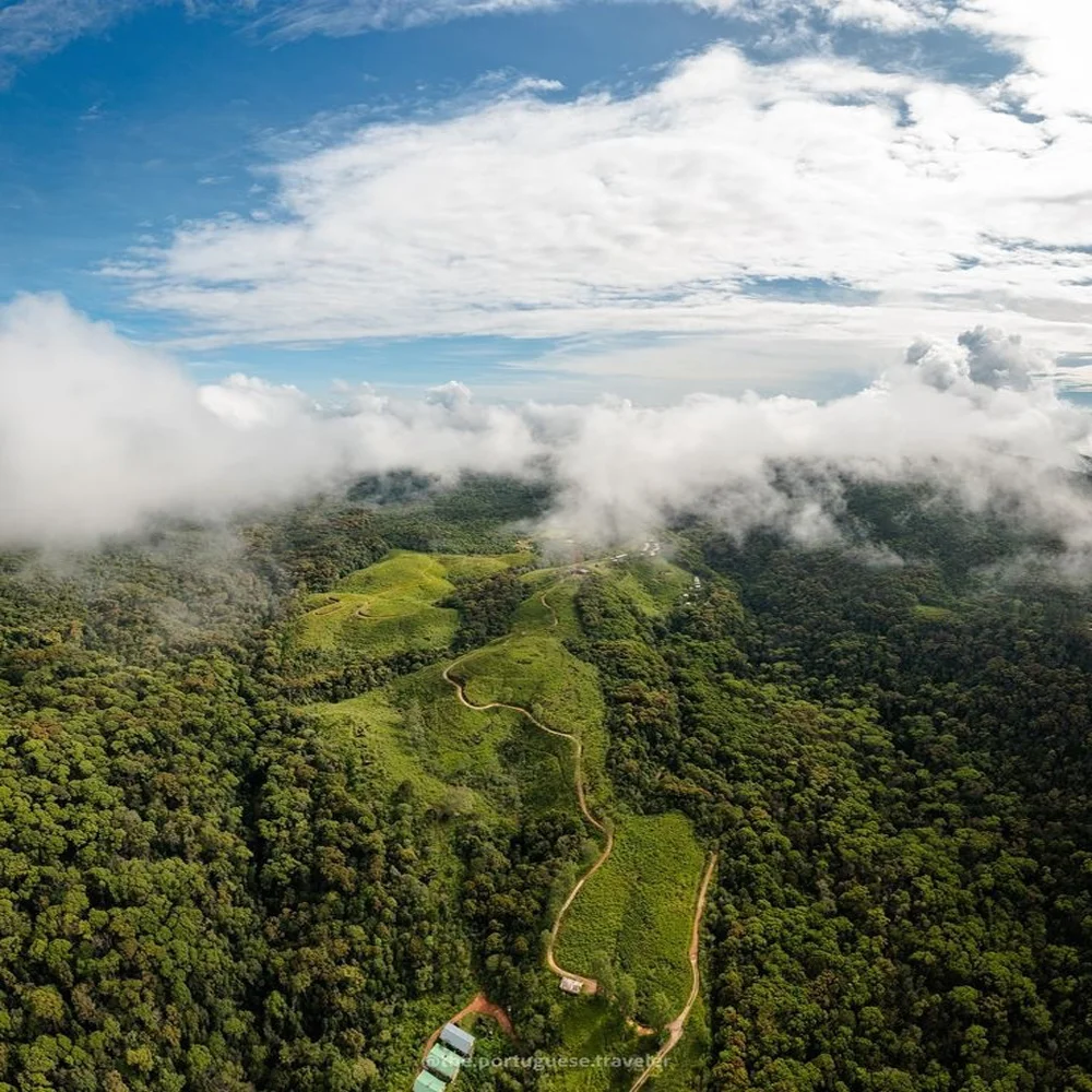 Sinharaja Forest Reserve 