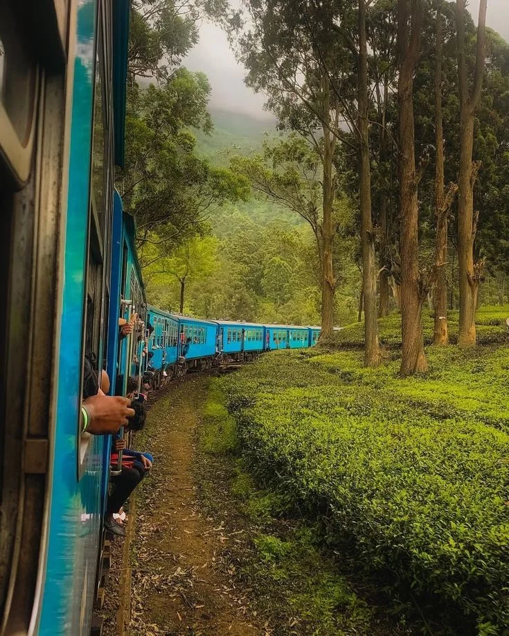 train travel