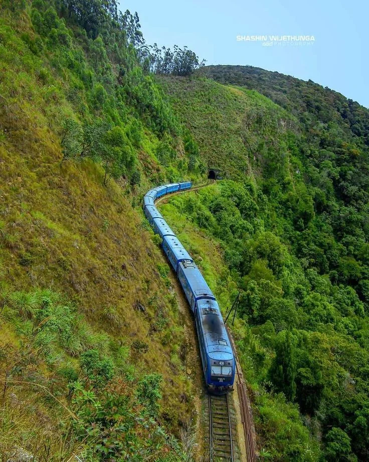 train