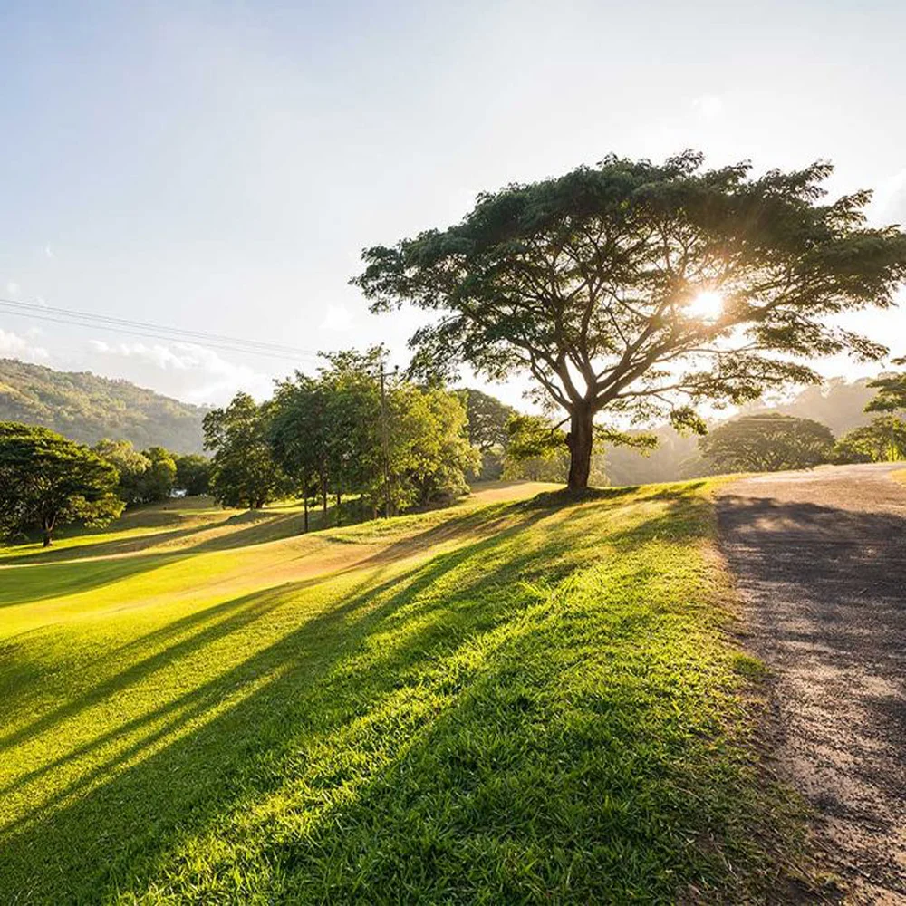 Victoria Golf Resort, Kandy