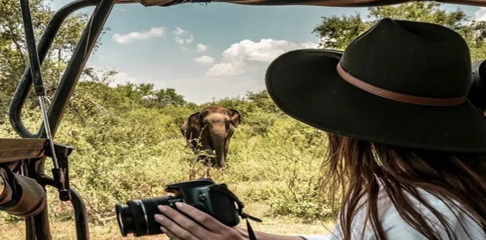 wildlife