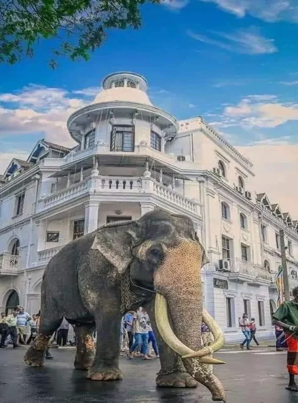 kandy