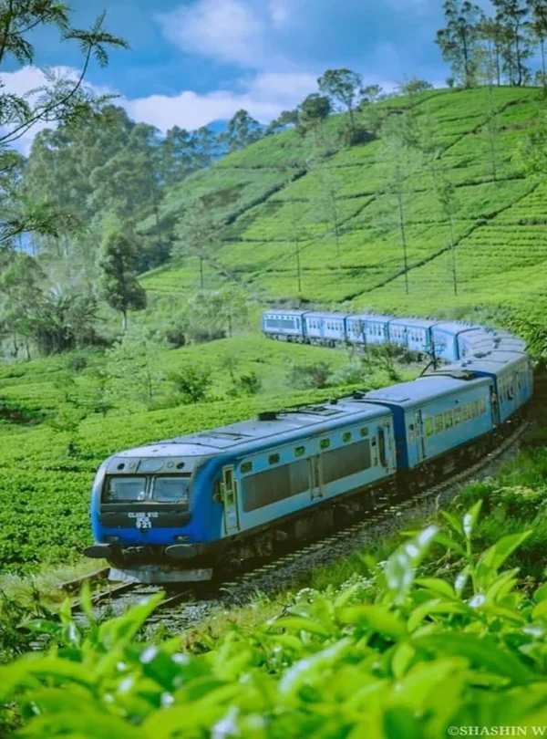 nuwara-eliya
