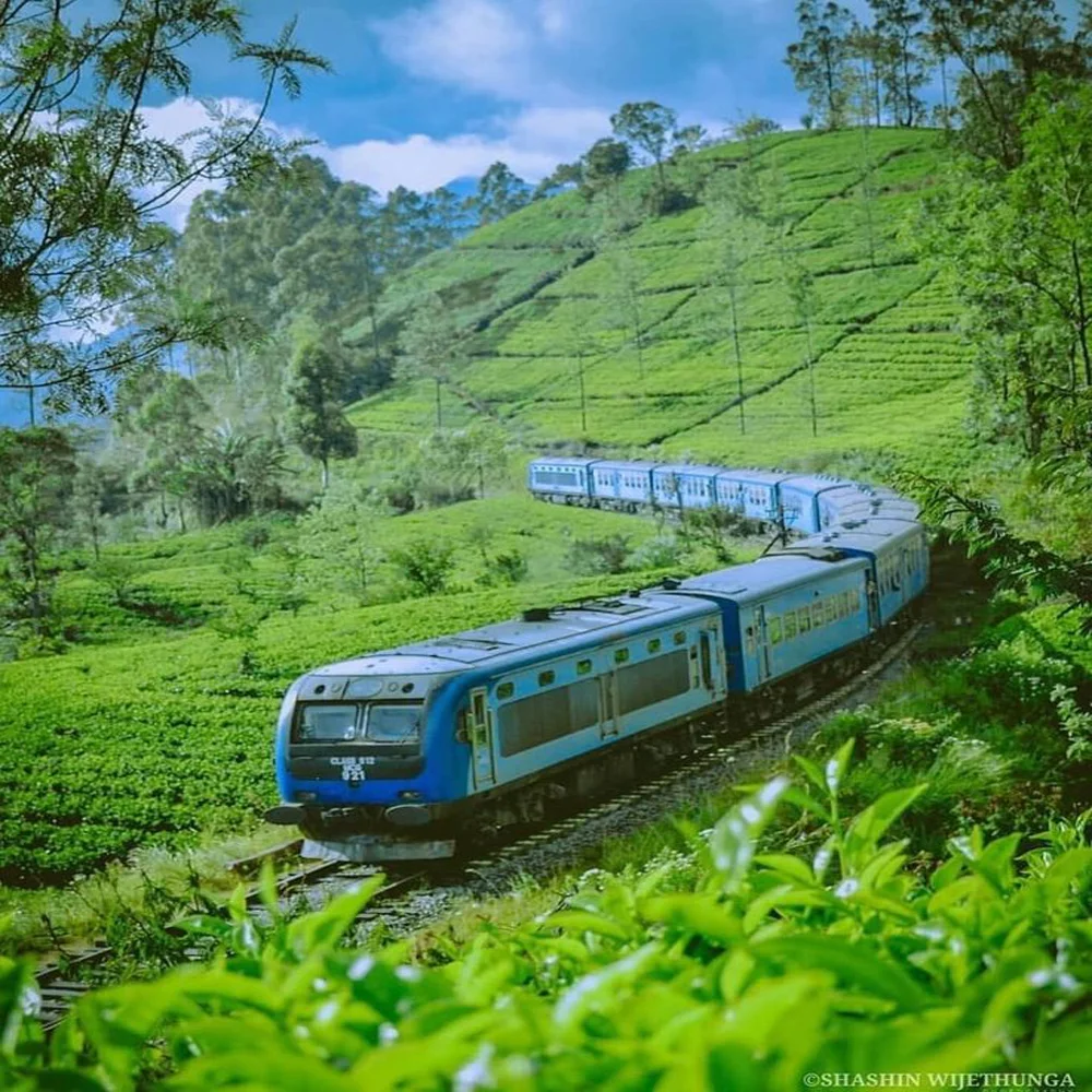 nuwara-eliya