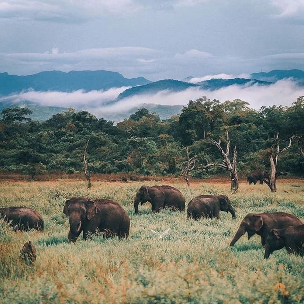wasgamuwa-sri-lanka